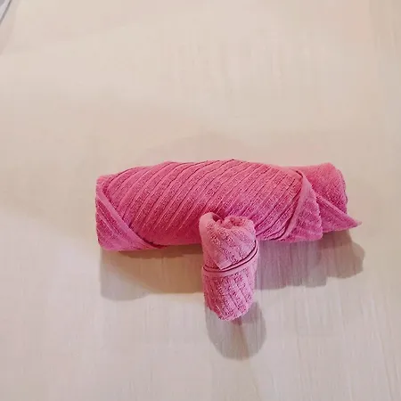 Maison Game ヴィルヌーヴ・ス・ダマルタン